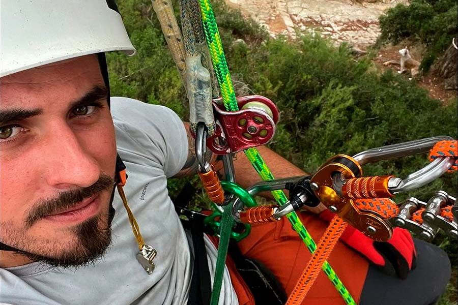 Podas Calafat hombre en árbol